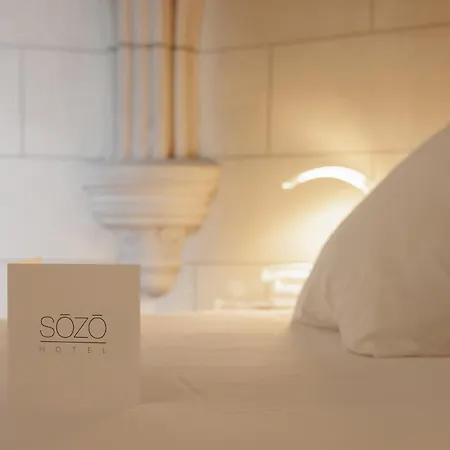 酒店 Sozo 南特